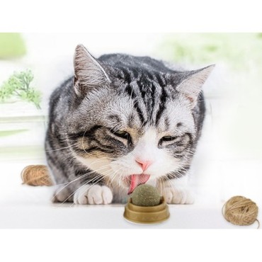 Kedi Otu Oyun Topu Cat Mint